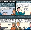 The Anatomy of Politics