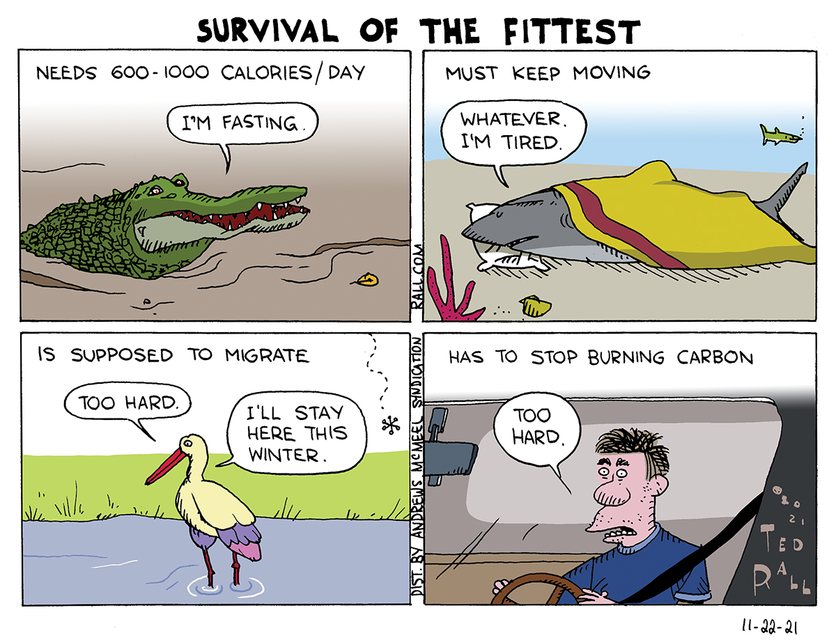 TR Center - Serious Cartooning The Survival of the Fittest